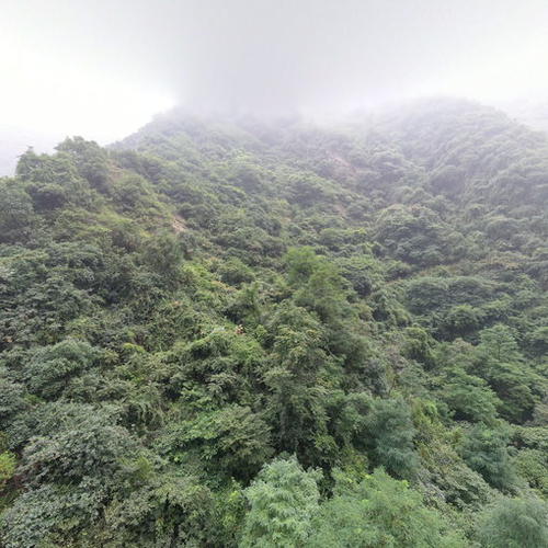 金龙峡