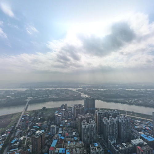 金悦学府