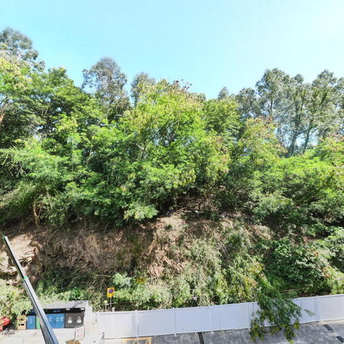 珍奇景苑（实景）